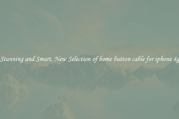 Stunning and Smart, New Selection of home button cable for iphone 4g