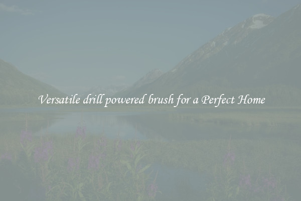 Versatile drill powered brush for a Perfect Home