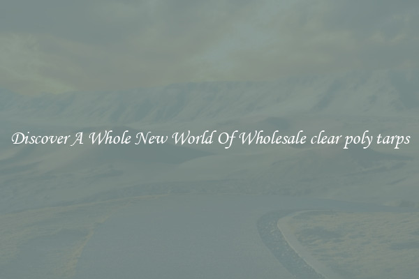 Discover A Whole New World Of Wholesale clear poly tarps