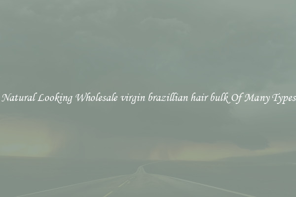 Natural Looking Wholesale virgin brazillian hair bulk Of Many Types