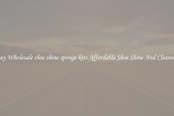 Buy Wholesale shoe shine sponge kits Affordable Shoe Shine And Cleaning