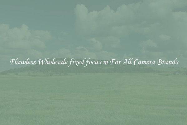Flawless Wholesale fixed focus m For All Camera Brands