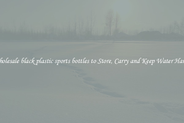 Wholesale black plastic sports bottles to Store, Carry and Keep Water Handy