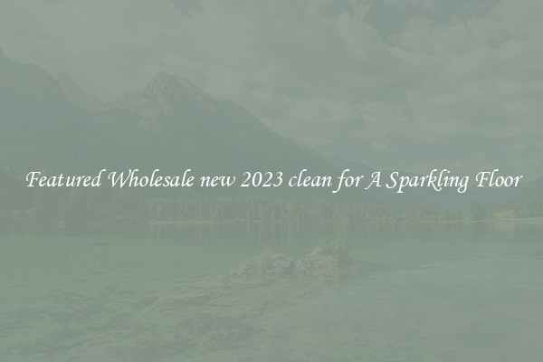 Featured Wholesale new 2023 clean for A Sparkling Floor