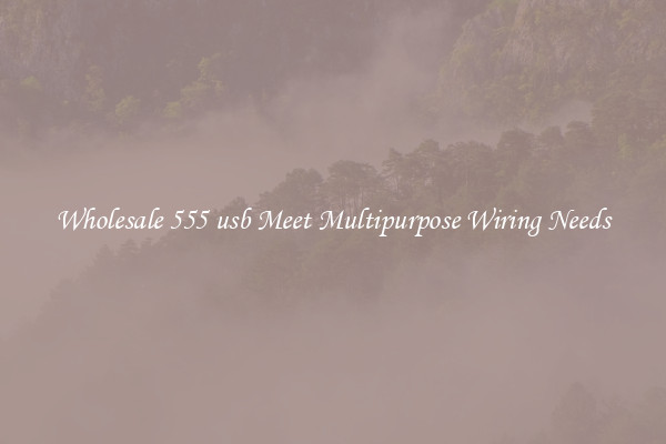 Wholesale 555 usb Meet Multipurpose Wiring Needs