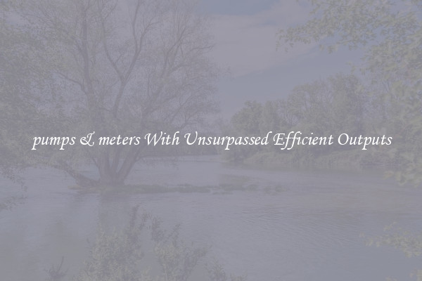 pumps & meters With Unsurpassed Efficient Outputs