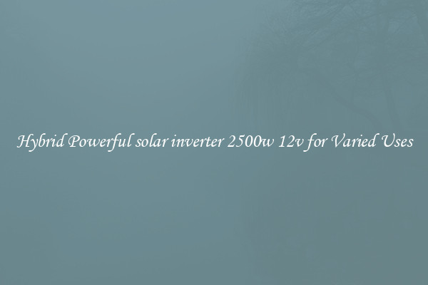 Hybrid Powerful solar inverter 2500w 12v for Varied Uses