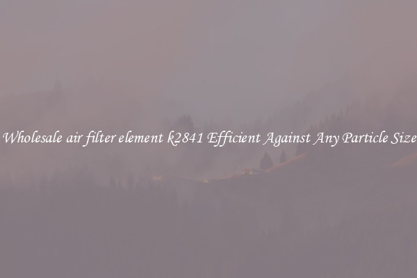 Wholesale air filter element k2841 Efficient Against Any Particle Size