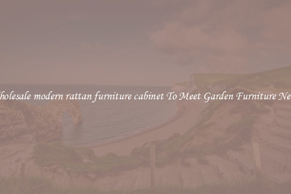 Wholesale modern rattan furniture cabinet To Meet Garden Furniture Needs