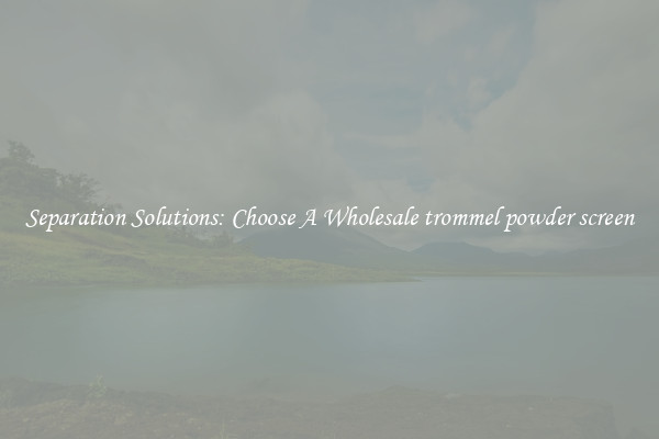 Separation Solutions: Choose A Wholesale trommel powder screen