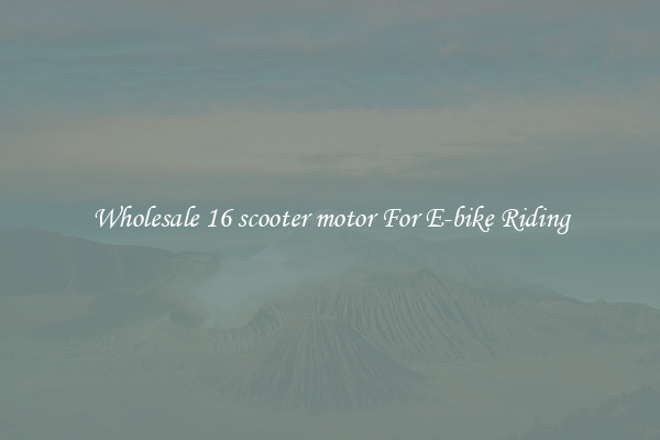Wholesale 16 scooter motor For E-bike Riding