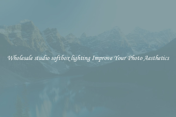 Wholesale studio softbox lighting Improve Your Photo Aesthetics