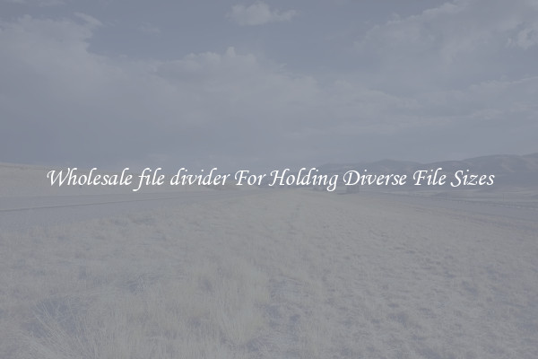 Wholesale file divider For Holding Diverse File Sizes