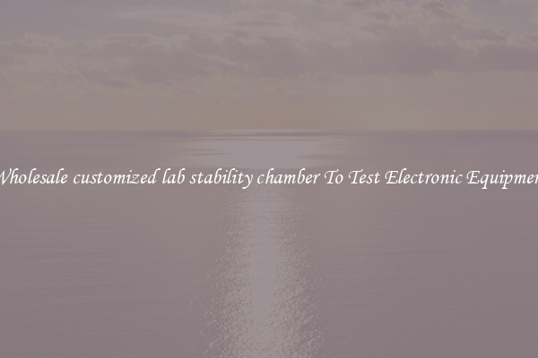 Wholesale customized lab stability chamber To Test Electronic Equipment
