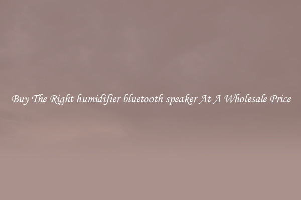 Buy The Right humidifier bluetooth speaker At A Wholesale Price