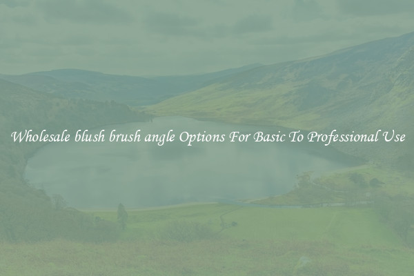 Wholesale blush brush angle Options For Basic To Professional Use