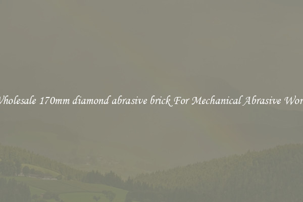 Wholesale 170mm diamond abrasive brick For Mechanical Abrasive Works
