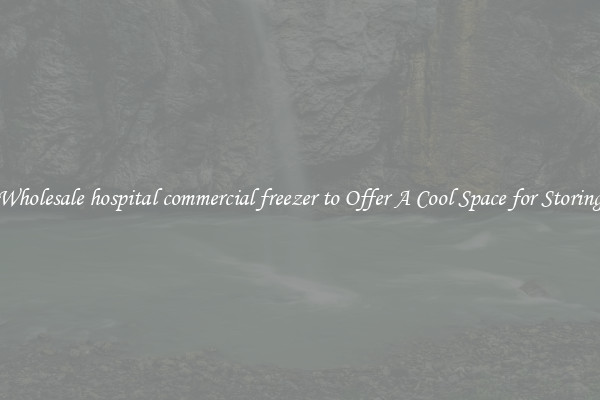 Wholesale hospital commercial freezer to Offer A Cool Space for Storing