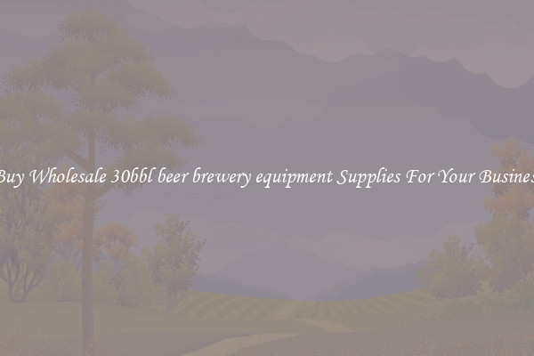 Buy Wholesale 30bbl beer brewery equipment Supplies For Your Business